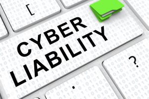 What is Data Breach or Cyber Security Insurance?